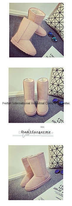 Warm Women Suede Leisure Snow Boots for Winter (FF-1)