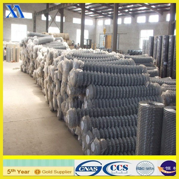 5*5cm PVC Coated Galvanized Chain Link Fence for Guard/Wire Mesh Fence Panel (XA-CL005)