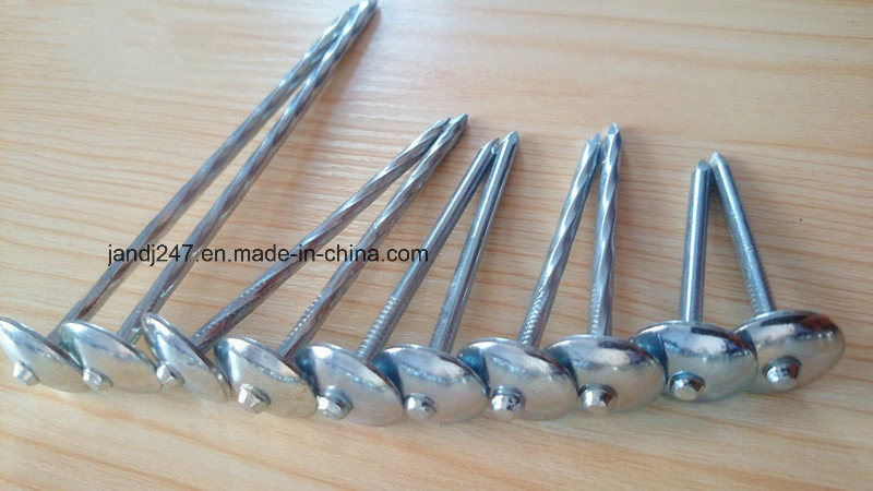 Galvanized Umbrella Head Roofing Nail