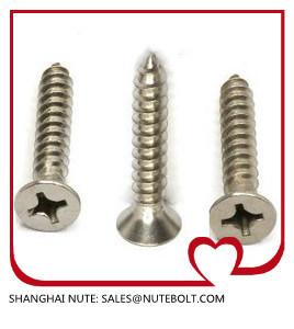 Self Tapping Screw Stainless Steel 304 316 DIN7981 DIN7982, Machine Screws, Self Drilling Screws