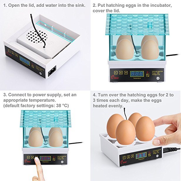 Hhd Automatic Temperature Control 4 PCS Automatic Egg Incubator