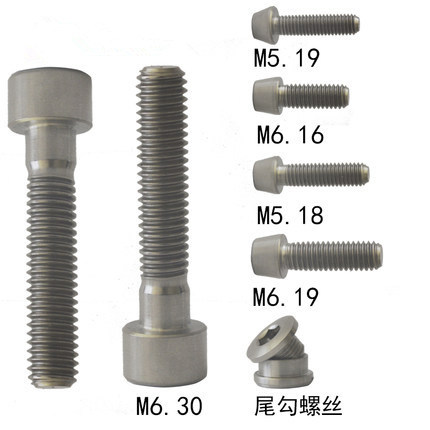 ISO ANSI European Quality Special Pan Head Wafer Self Tapping Titanium Fastener Confirmat Screw