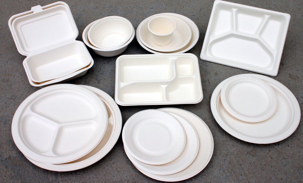 Eco-Friendly Biodegradable Compostable Sugarcane Bagasse 8 Plate Tableware Tray