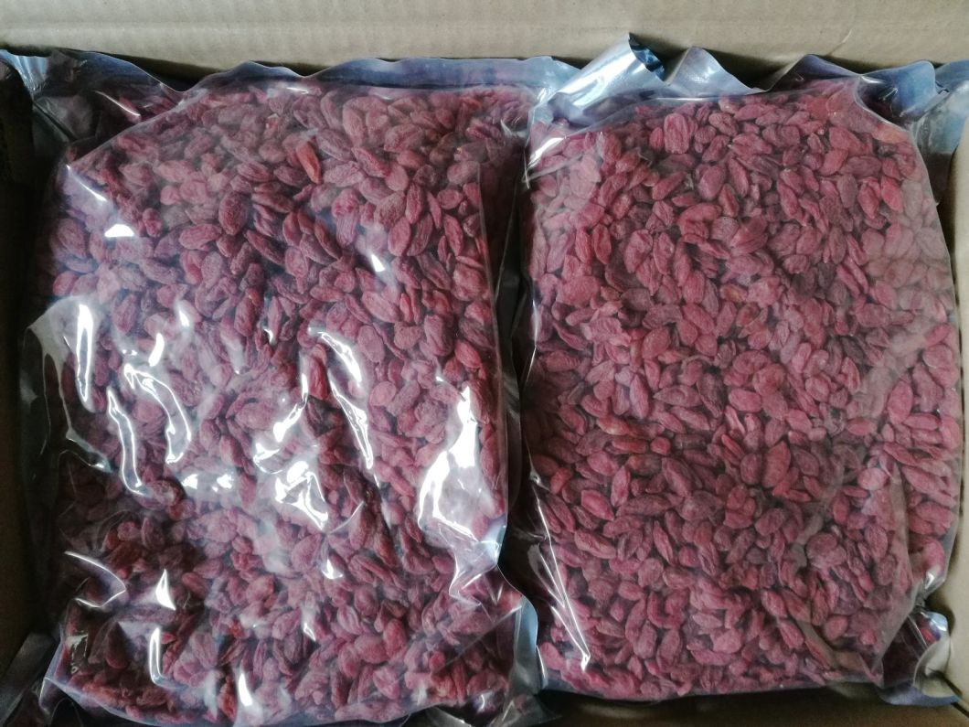 Best Quality Dried Organic Ningxia Goji Berry From China