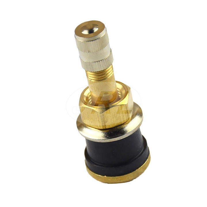 Tr501 Brass Straight Tubeless Tire Valve Stems/Clamp in Valve