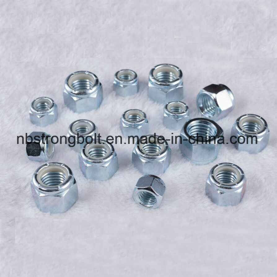 Hex Nylon Lock Nut with White Ring