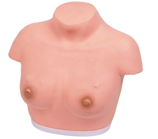 Xy-14A Inspection and Palpation of Breast Model