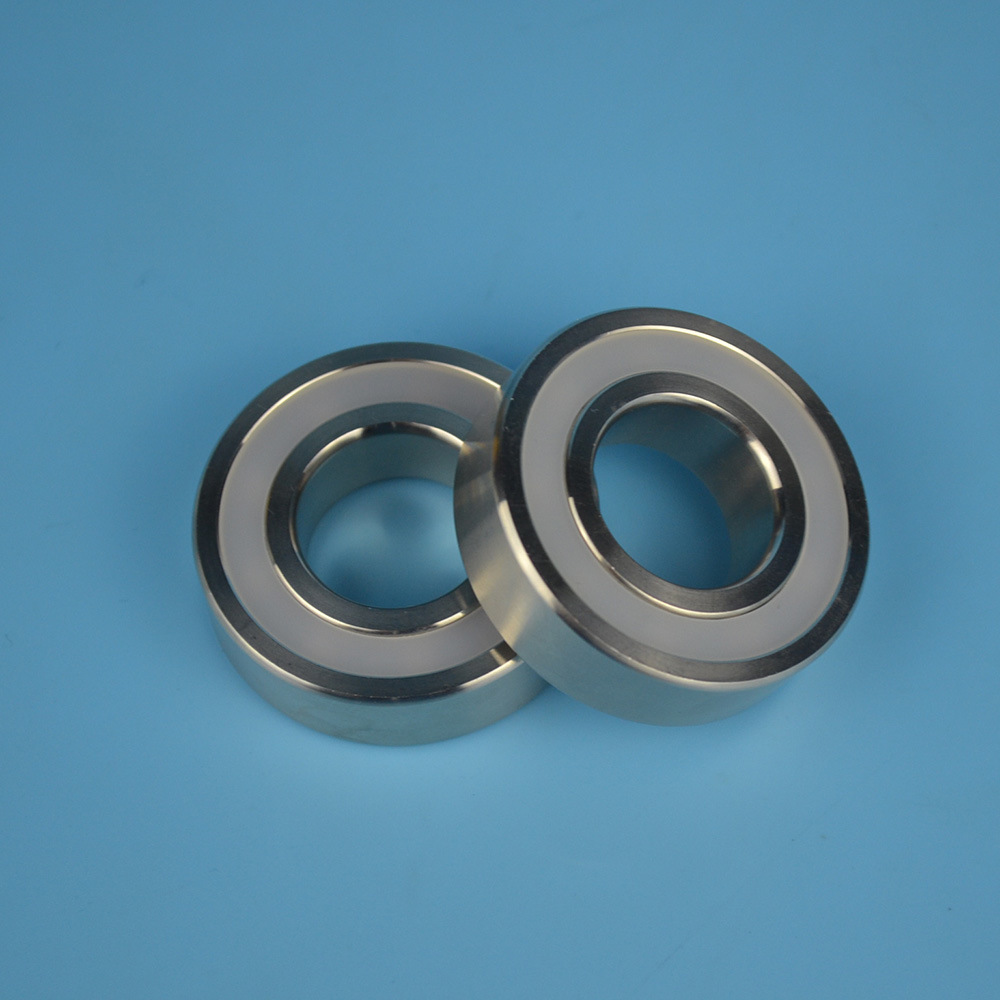 6304 2RS C5 Hybrid Ceramic Deep Groove Ball Bearing