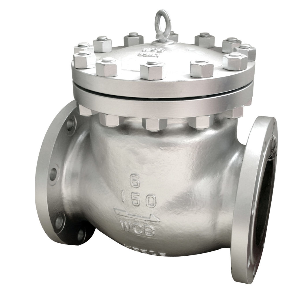 Double DIN Cast Iron Flanged Swing Check Valve