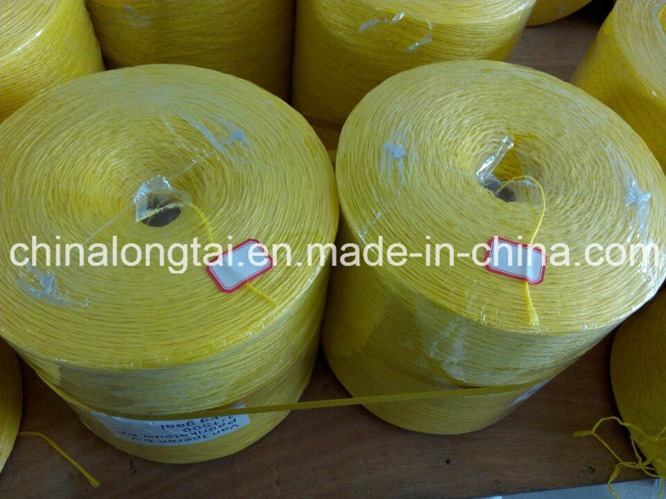 PP Multifilament Yarn for Weaving