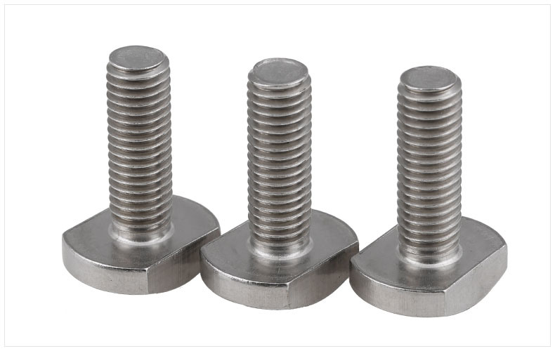 Stainless Steel Eye Anchor Bolt T Head T-Bolt