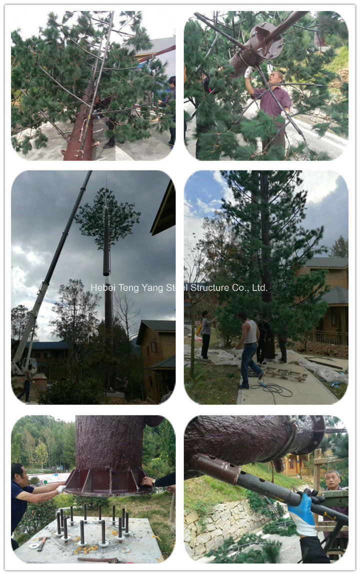 Detailed Video Description of Camouflaged Telecommunication Pine Tree Monopole