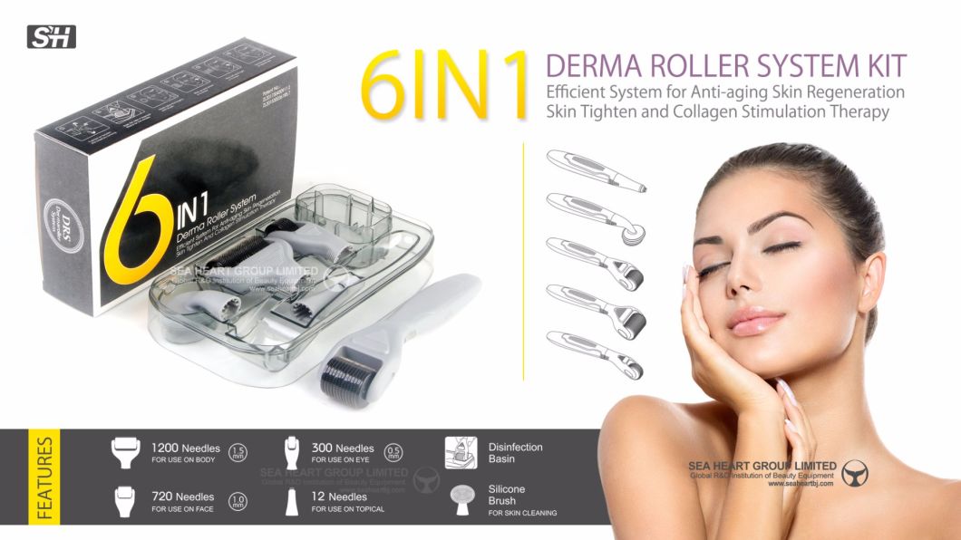 Derma Skin Roller Kit 6in1 Microneedles Skin Care Stainless Steel