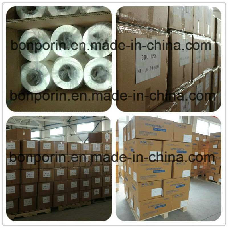 Fishing UHMWPE Yarn, Polyethylene Filament, PE Fiber