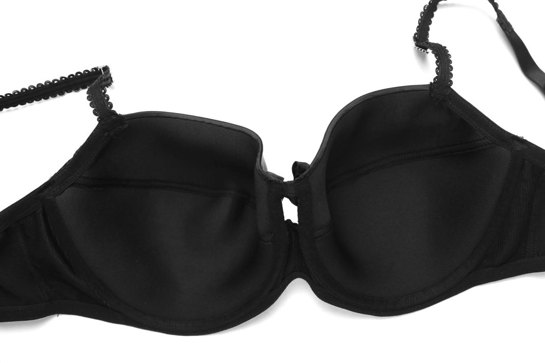 Plus Size Ladies Bra in Good Quality