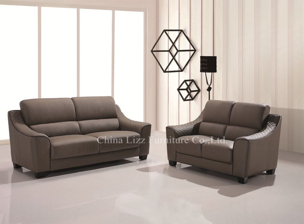 Brown Leisure Home Furniture Combination Sofa