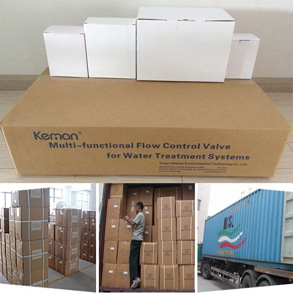 Domestic 4 Ton Automatic Filter Valve with LED Screen