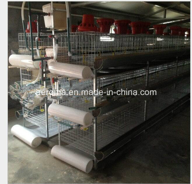 PP Polypropylene Belt Collecting Excrement Belt Chicken Raise Industry PP Tape