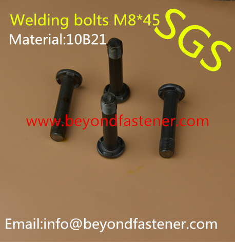 Step Bolts Shoulder Screw