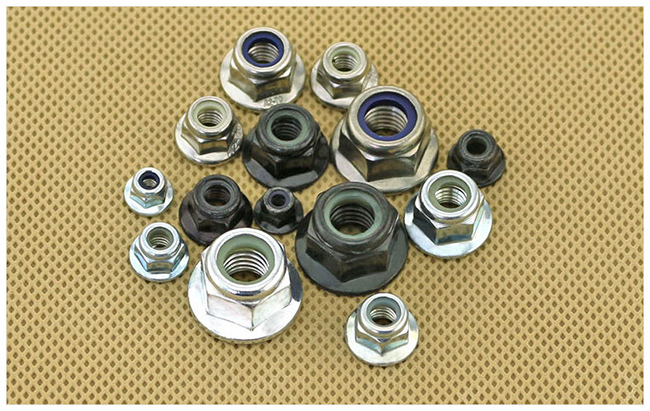 Stainless Steel Flange Nylon Lock Nut