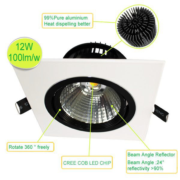 Embed Ceiling CREE Chip Adjustable Dimmable 3*7W COB LED Downlight