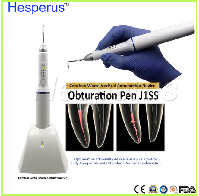 Dental Gutta Percha Obturation Pen