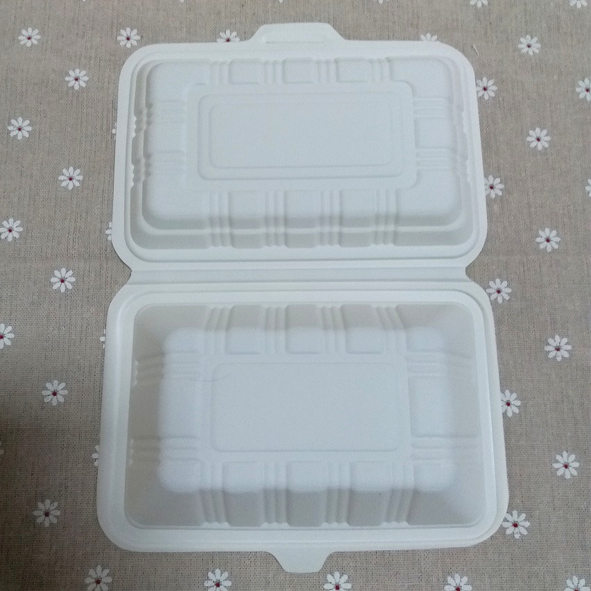 China Biodegradable Camping Food Packaging Box Disposable Fast Food Box