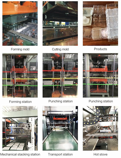 Full Automatic Disposable Plastic Cup Thermoforming Machine