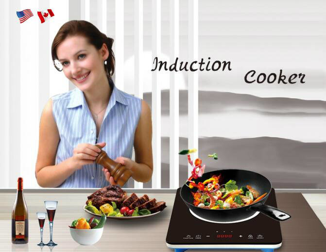 Home Appliance Touch Control Unique Induction Cooker