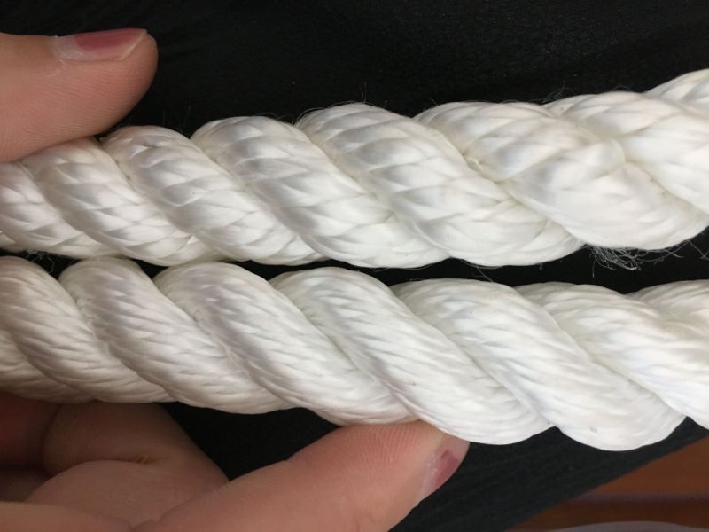 PP Multifilament Rope/Marine Rope/Mooring Rope