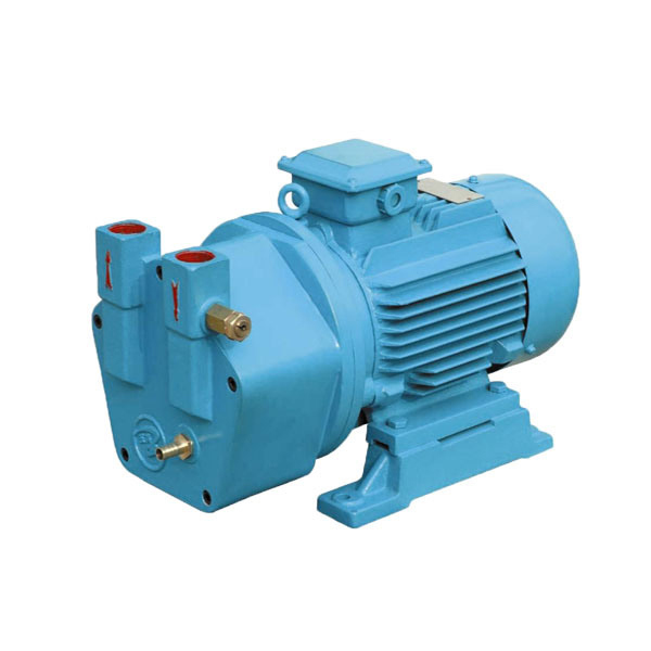 Sterilization Machine / Vacuum Pump for Autoclave