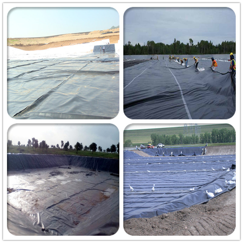 100%Virgin HDPE Geomembrane 1mm 0.75mm Pond Liner HDPE