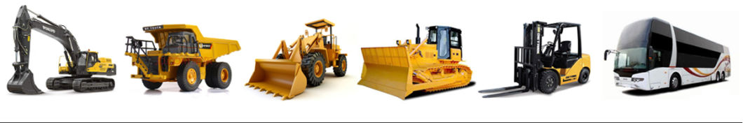 Professional Supplier of Engine Parts for Construction Machinery