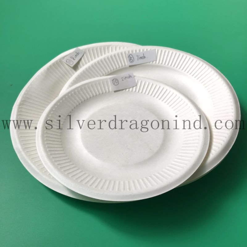 Unicolor Sugarcane Pulp Disposable Paper Tray (Food Grade)