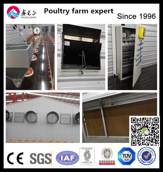 Auto Drinking System for Broiler Chicken