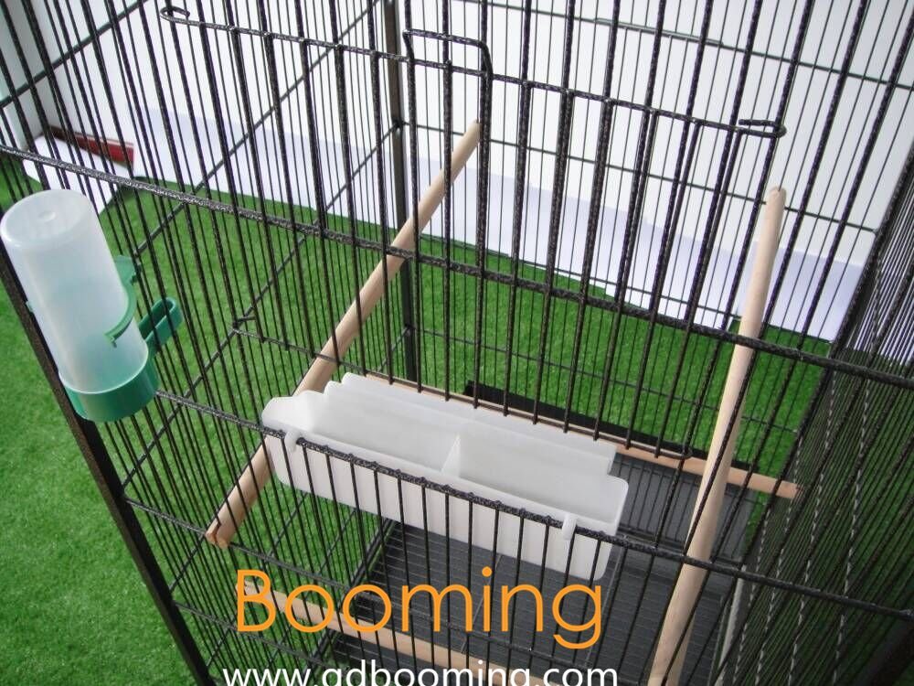 DIY Powder Coated Wire Mesh Bird Cage for Us (Factory)