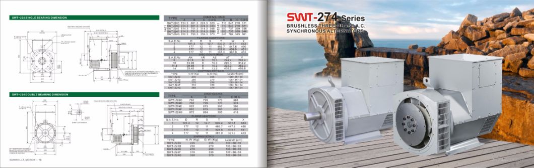 160kw / 200kVA Copy Stamford Alternator by Surirella