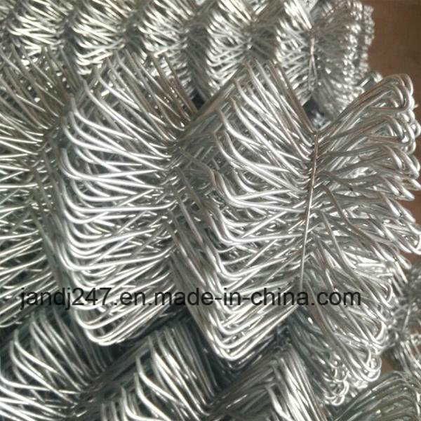 Hot Dipped Galvanized Chain Link Fence with Low Price