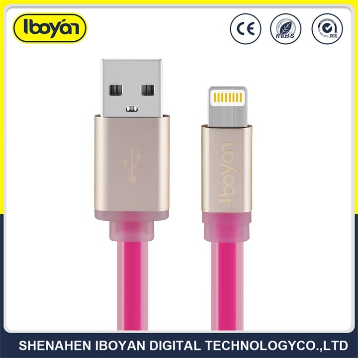 Mobile Phone Accessory Fast Charging USB Data Lightning Cable for iPhone X