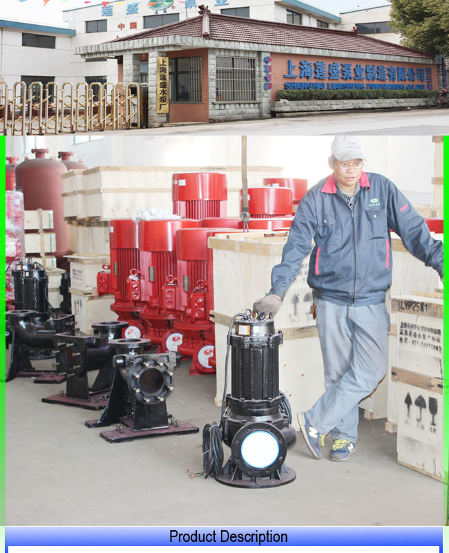 Wq Non-Clogging Submersible Slurry Sewage Pump