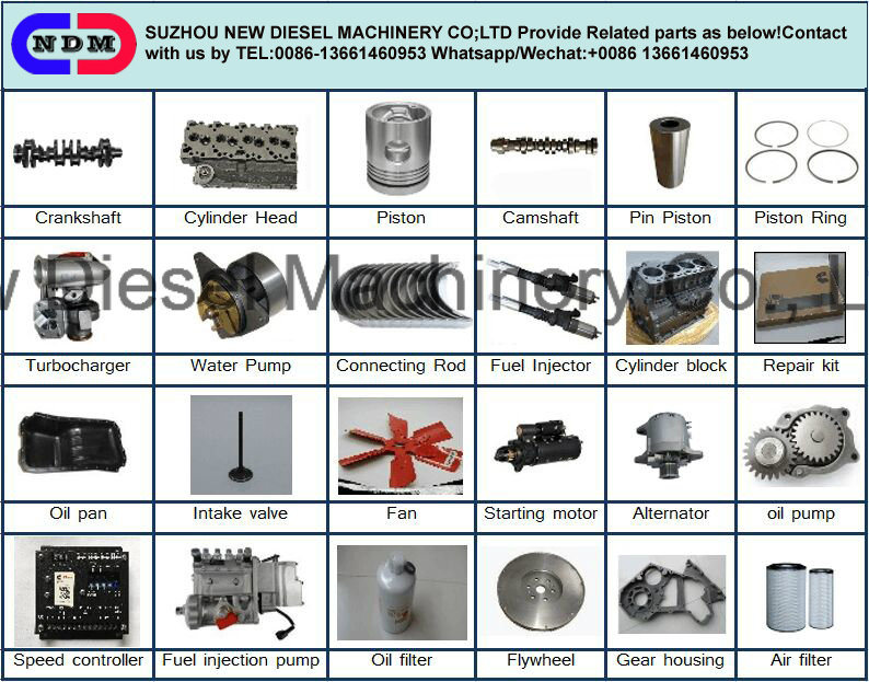 Genuine Cummins Diesel Engine Spare Parts (4BT, 6BT, 6CT, NTA855, KTA19, KTA38, KTA50)