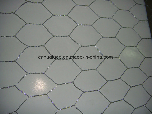 Hot Dipped Heavy Galvanized Hexagonal Chicken Wire Mesh