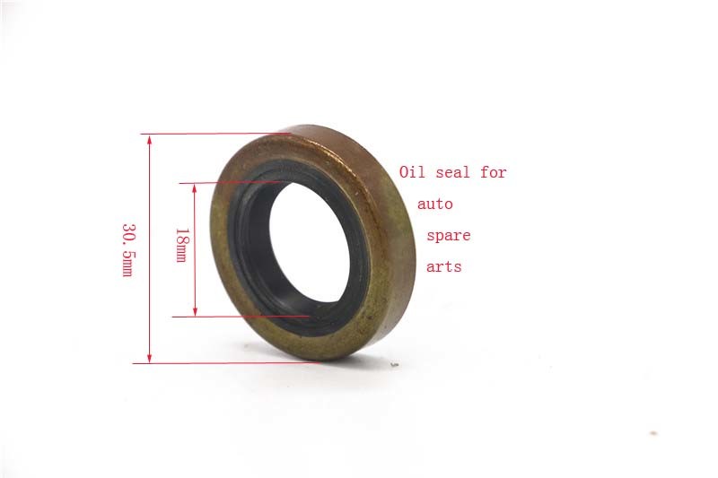 OEM NBR Factory of The Oil Seal for Machinery with Spring for Industrial of Rubber Product Rubber Oil Seal