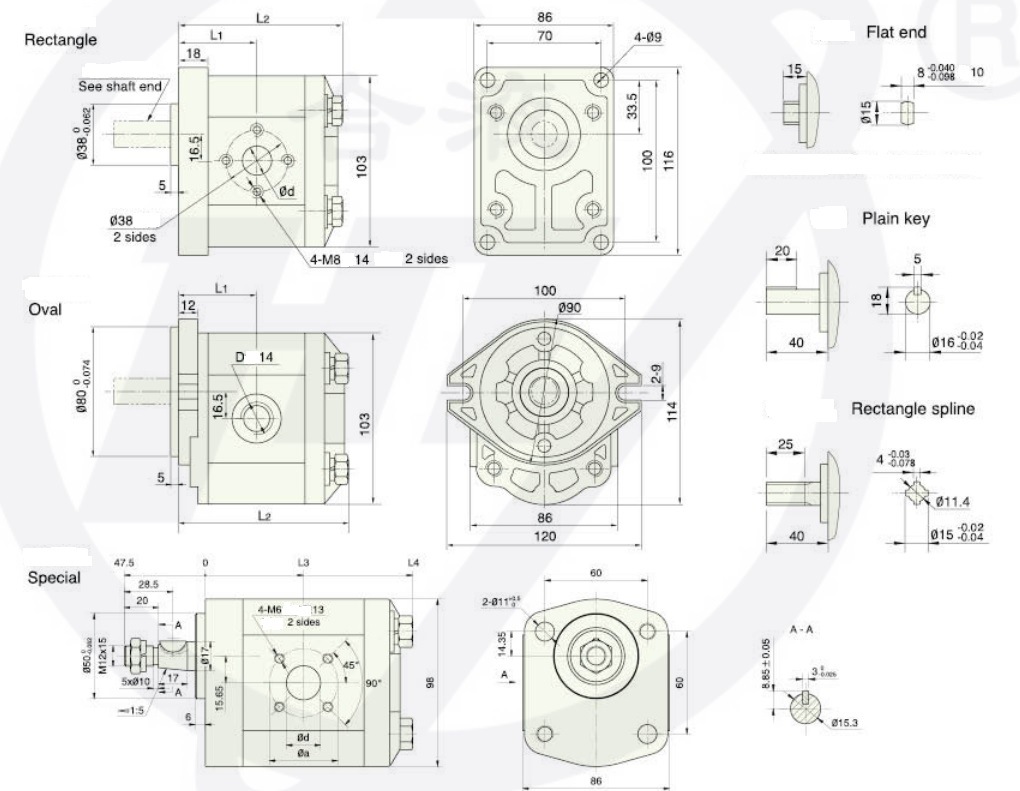 High Pressure Small Hydraulic Gear Pump Cbw for China Yto