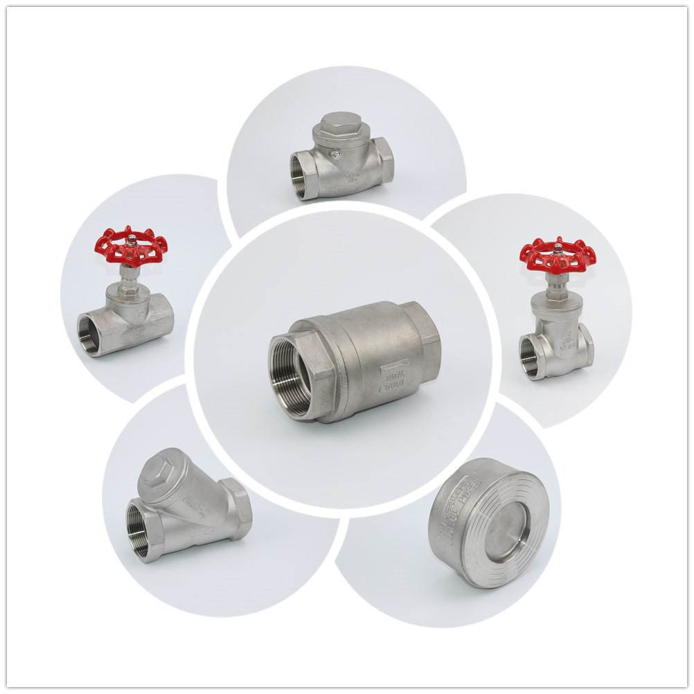 Stainless Steel Spring Vertical Type Check Valve