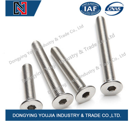 ISO10642 Stainless Steel Hexagon Socket Countersunk Flat Cap Head Screw