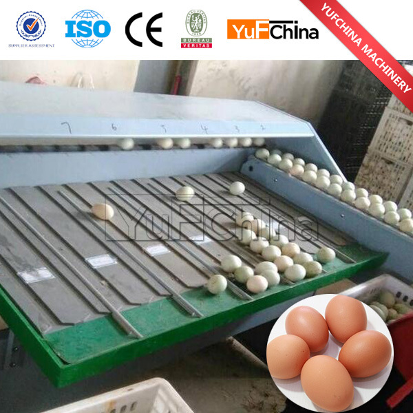 Automatic Egg Grading Machine for Sale