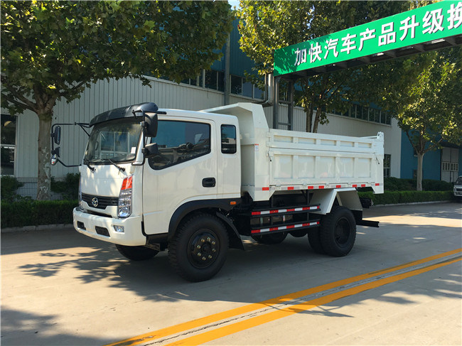 China Cargo Dump Truck for Sale