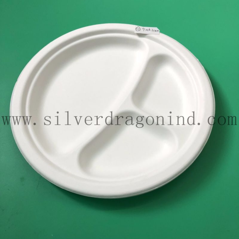 Unicolor Sugarcane Pulp Disposable Paper Tray (Food Grade)