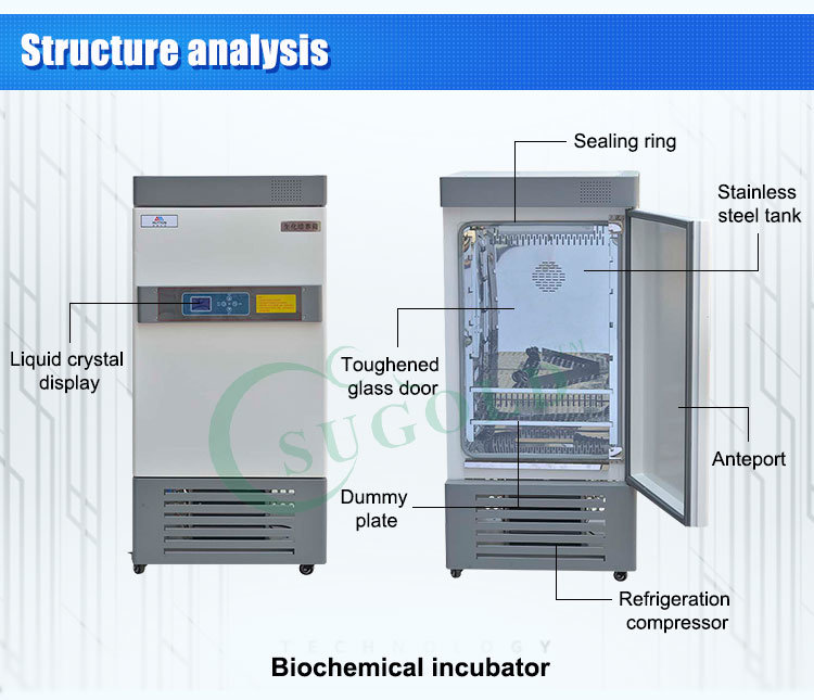 Lrh Professional Incubator / Biochemical Incubator